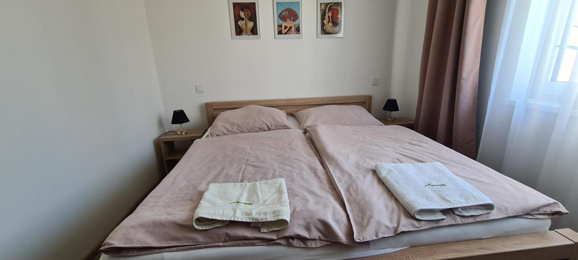 Apartmán u Toma Frýdlant nad Ostravicí Exterior foto