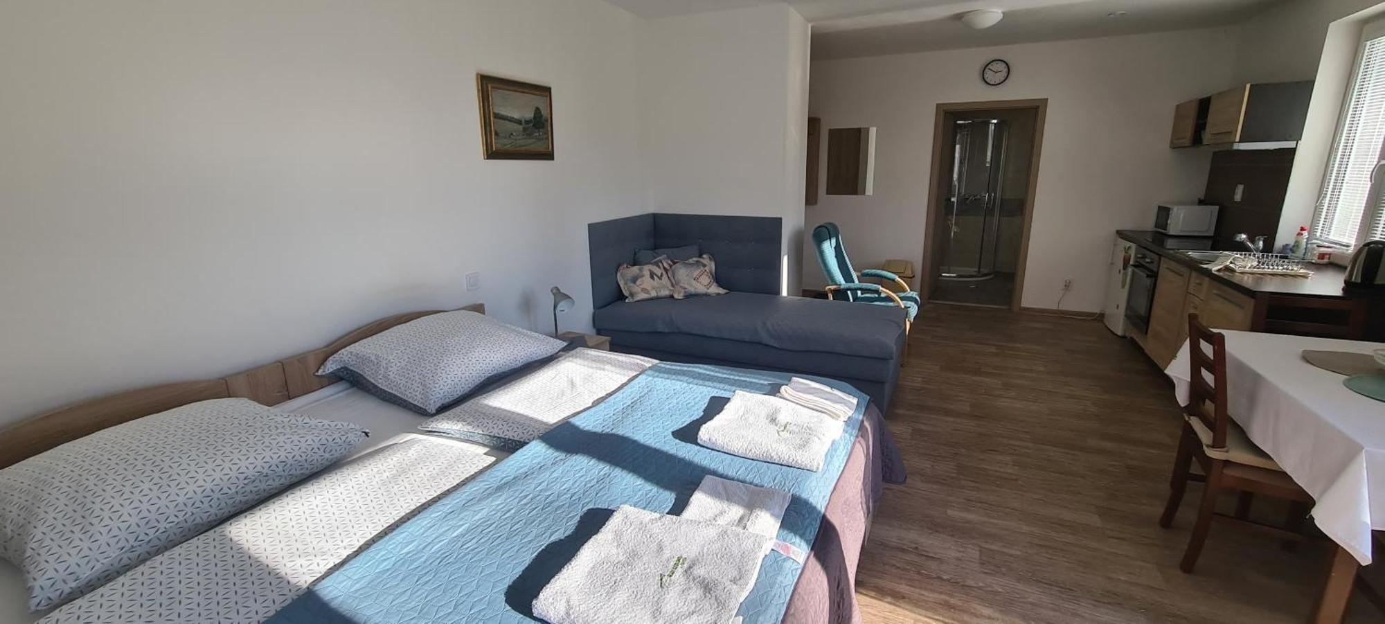 Apartmán u Toma Frýdlant nad Ostravicí Exterior foto